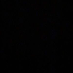 Meet your Posher, Layla